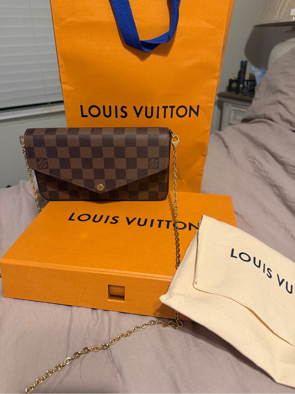 Louis Vuitton Brown Damier Ebene Chain Mini Crossbody - Picture 2 of 4